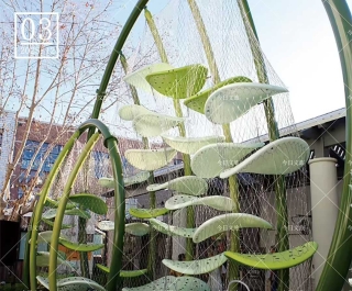 今日文旅无动力设备怎么样?市场