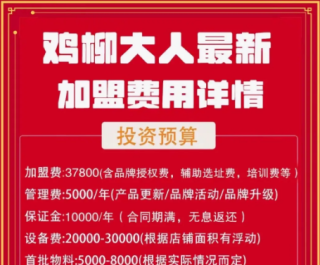 鸡柳大人加盟费用,流程条件