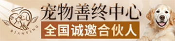 宠娘宠物店