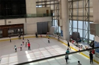 溜冰场加盟品牌有哪些?