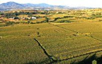 加盟壹亩梁方有多少优势